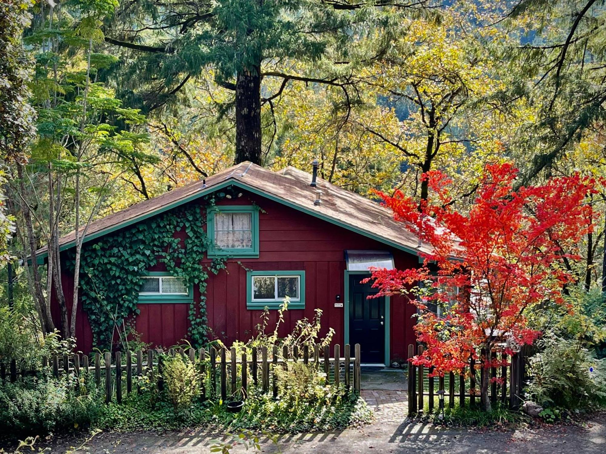 Avenue Of The Giants Caraway Cottage Miranda Bagian luar foto