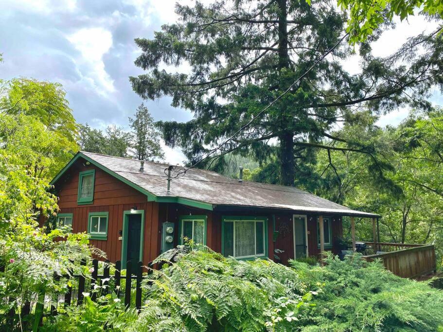 Avenue Of The Giants Caraway Cottage Miranda Bagian luar foto