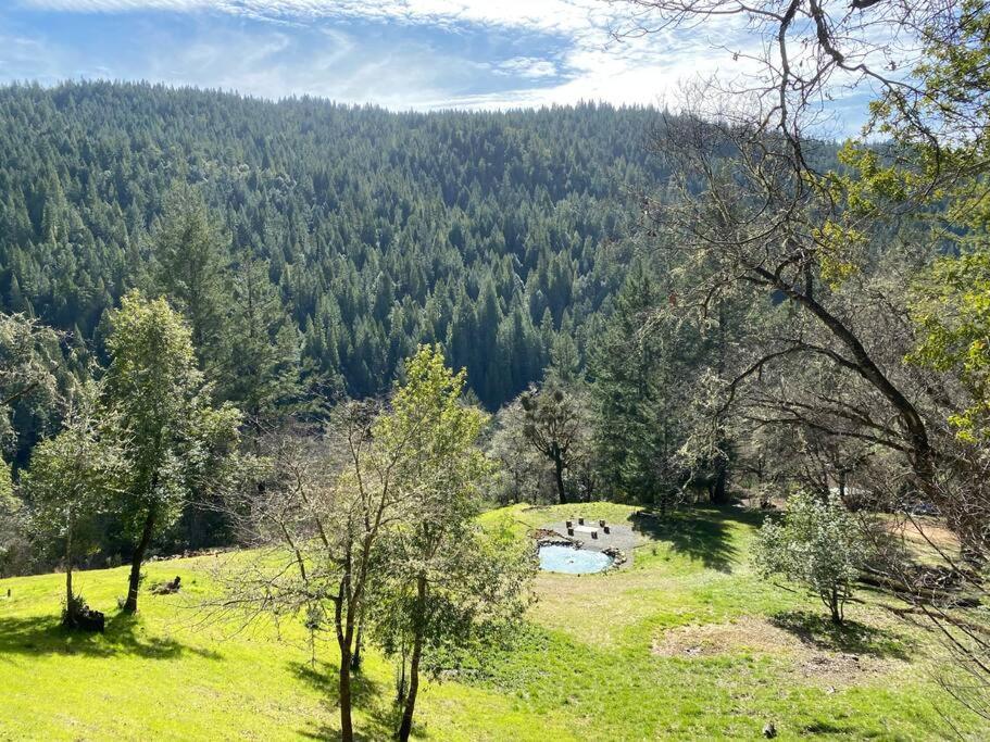 Avenue Of The Giants Caraway Cottage Miranda Bagian luar foto