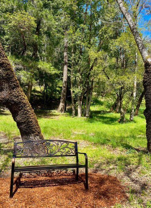Avenue Of The Giants Caraway Cottage Miranda Bagian luar foto