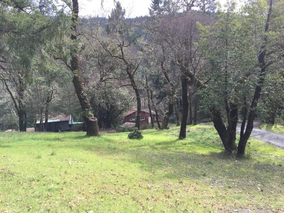 Avenue Of The Giants Caraway Cottage Miranda Bagian luar foto