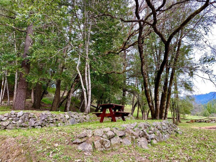 Avenue Of The Giants Caraway Cottage Miranda Bagian luar foto